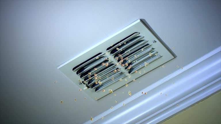Best Emergency Air Duct Cleaning  in Long Creek, IL