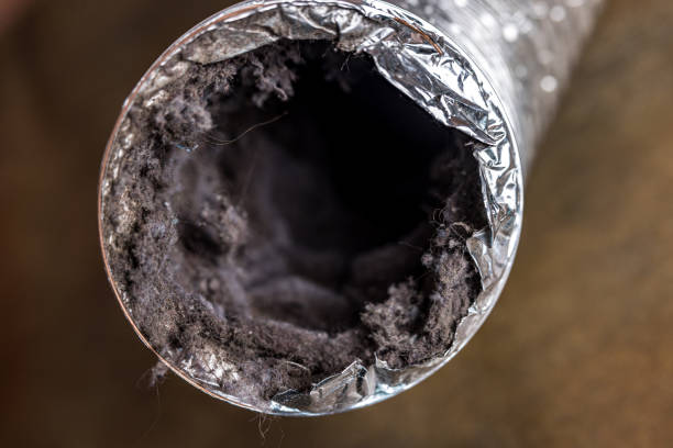 Best Air Duct Mold Removal  in Long Creek, IL
