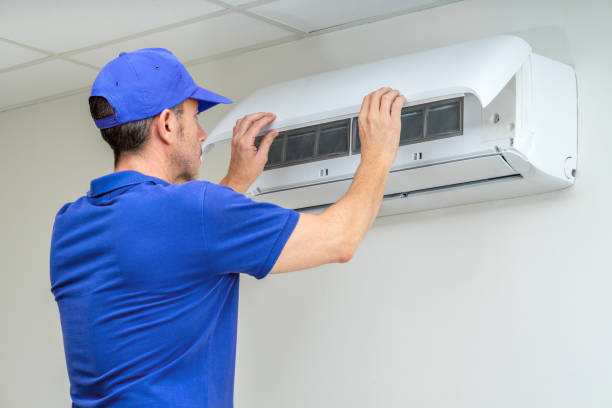 Air Duct Mold Removal in Long Creek, IL