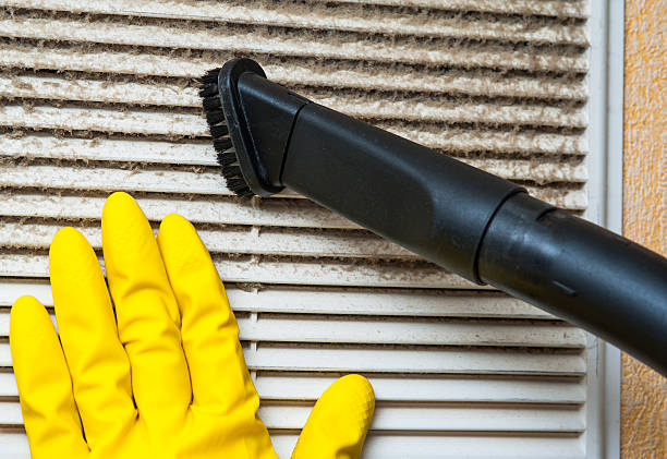 Best HVAC Duct Inspection Services  in Long Creek, IL